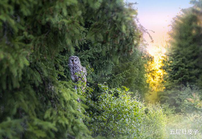 义务帮奶奶存钱,却遭怀疑贪污:老糊涂不是借口,小辈就该原谅?