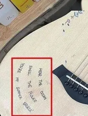 欧阳娜娜|这对塑料姐妹还能走多远？