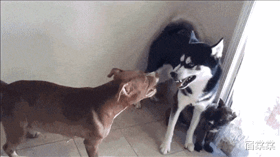 “在老家建了一栋房子,可工人把图纸拿反了!”