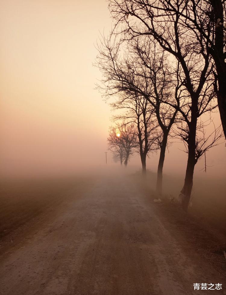 青芸之志 农村事之利益冲突(六)