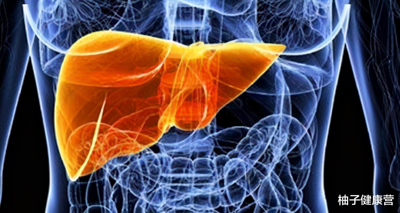 柚子健康营|肝脏不好的人群,要警惕皮肤的4种变化,若发现异样,及时检查