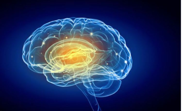 爱学习的禾禾妈|不打骂、不吼叫、不哄骗，怎样控制孩子的脾气？情绪探索是关键