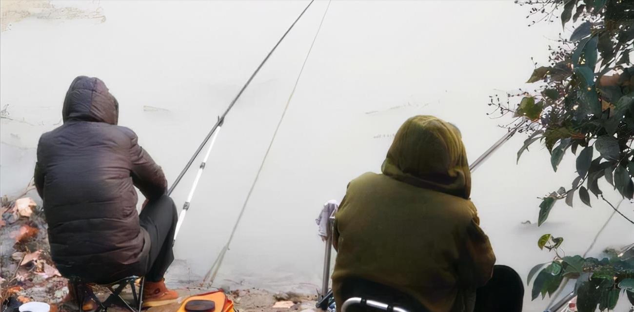 饵料|降温后还能钓鱼吗？可以从3个方面着手，说不定效果更好