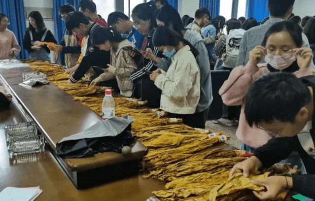 |毕业生进卷烟厂，需要满足哪些要求，中国烟草应聘指南送给你