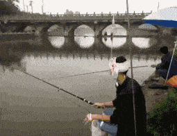 阿庄星座屋|“大姐，坐高铁注意点形象吧，你的亮点都被别人看光了！”哈哈哈哈