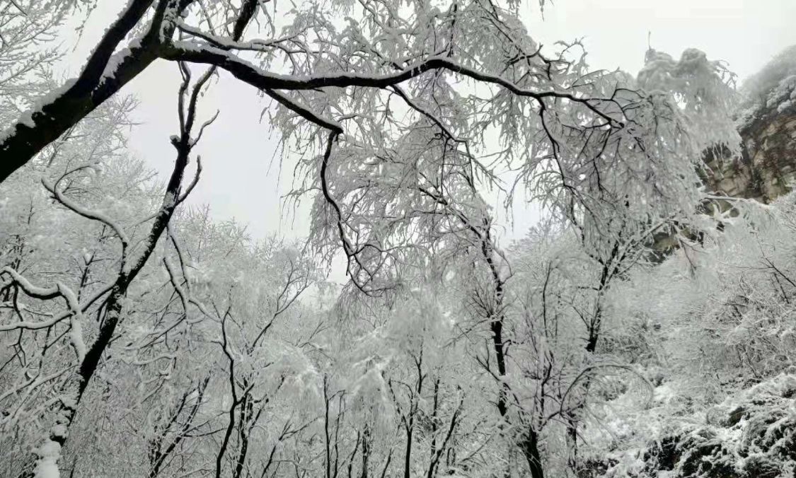 芽庄 终南山雪景犹如仙境，冒雪拜访住在山洞里的终南隐士，谁知山洞竟然被烧了，怎么回事？