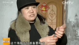 拿起一根海肠,就读懂了生命的狂野
