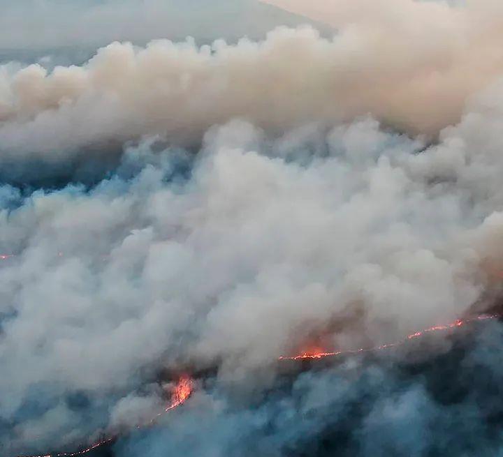 宓听枫|2021那么多灾难,沙漠都发大水了,霍金预言真要实现了吗?