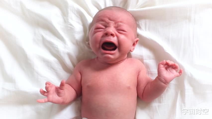 智人|为什么人类的幼崽这么能哭？古时候难道不怕引来捕食者吗？