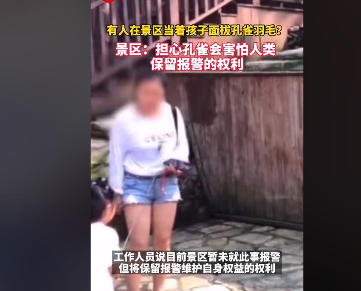 小鱼奶爸说育|妈妈猛拽孔雀羽毛递给孩子，网友：这是啥言传身教！去拽老虎须吧