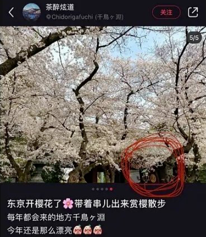 感觉会火|参观靖国神社,同前日本首相儿子合影:张哲瀚的背景,细思极恐