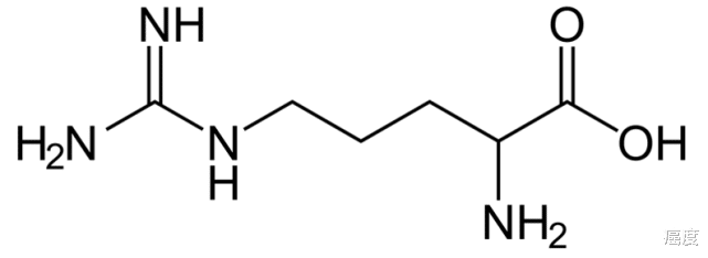 抗癌|多吃精氨酸,有助抗癌?