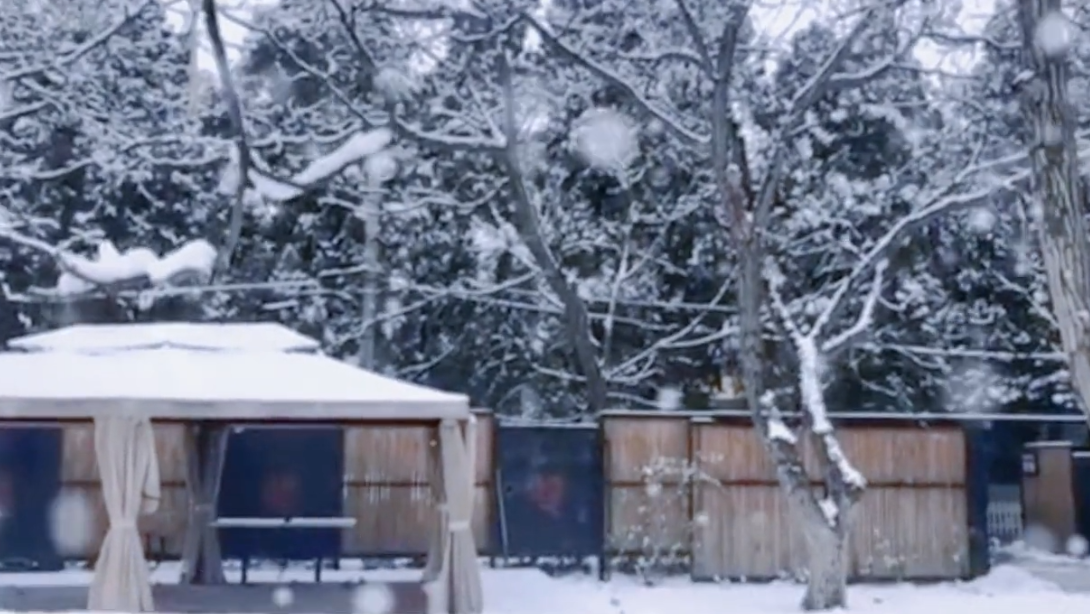 贾玲|贾玲大雪中嗨玩好兴奋！穿一件衣服不怕冷，对镜头嘟嘴亲吻好可爱