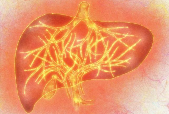 乐禹萱|晨起3个习惯，可能比喝酒更让肝受伤，很多男人的通病，抓紧改掉