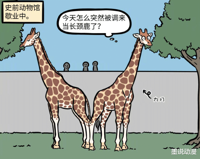 非人哉|非人哉：动物园园长登场，九月化形多种动物，变不回原来模样