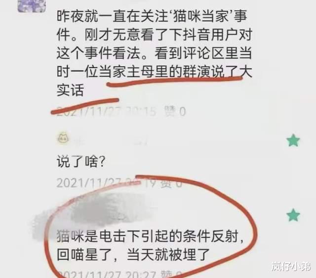 谁是凶手|《当家主母》剧中毒猫事件后续来了，诸多群演发声，打脸官微回应！