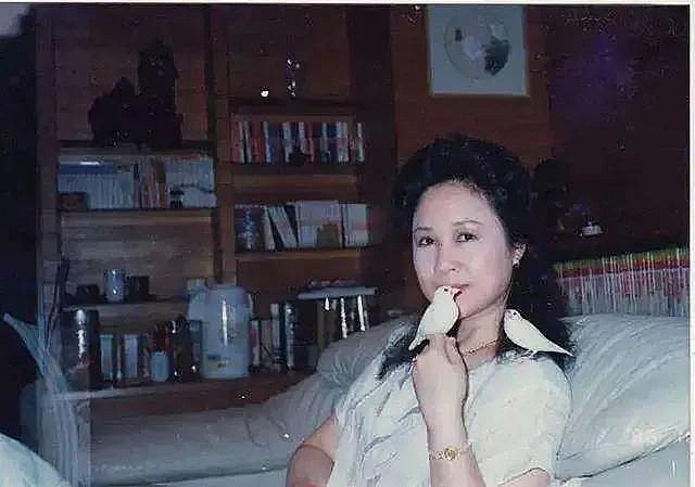 不惑之年|琼瑶数学考了20分,妹妹考了98分,母亲:你怎么就不能像你妹一样