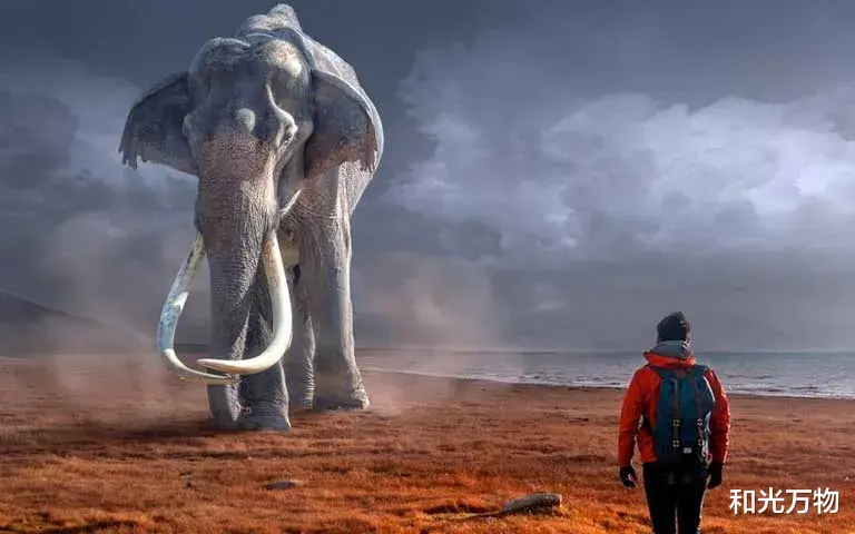 猛犸象 猛犸象重现地球，有助于阻止气候变化？科学家：远水难救近火！
