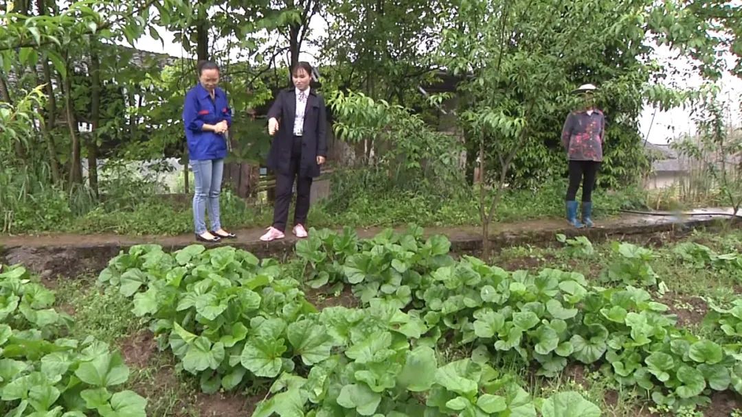 赤水融媒 赤水市农村信用合作联社：加大金融服务，助力乡村振兴