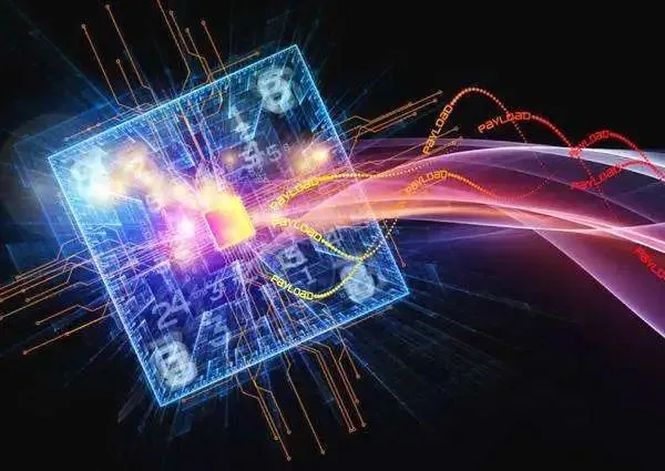 草鱼|攻击目标：北京居首位，其次是福建