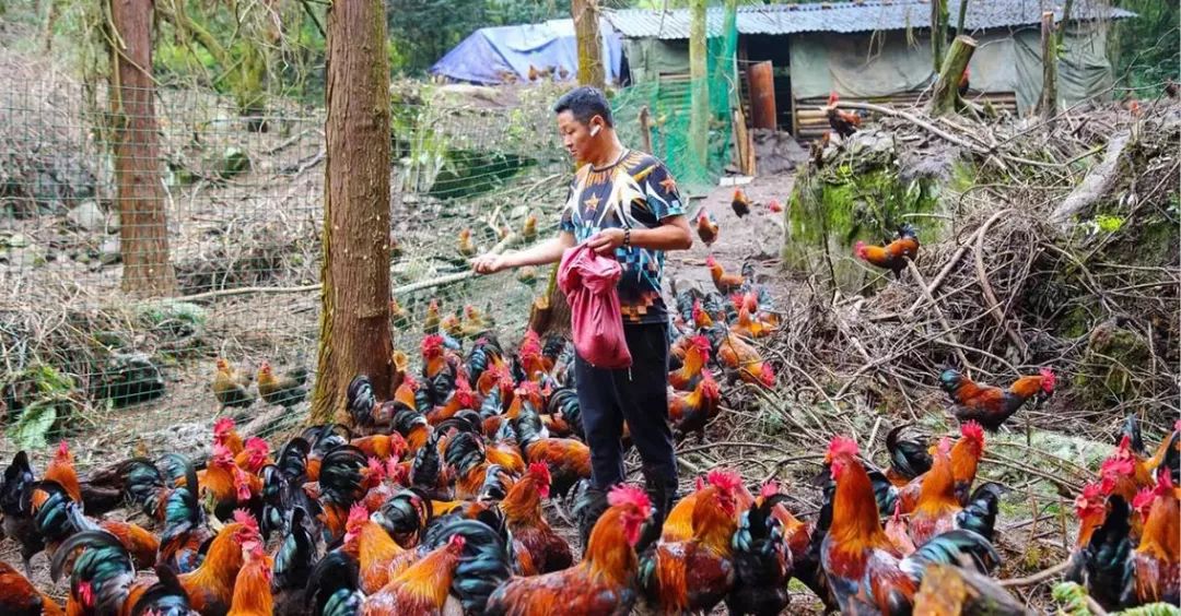 杨紫|娶小16岁超模为妻，退圈后靠养鸡身家过亿，曾经的“太监专业户”三德子凭什么？