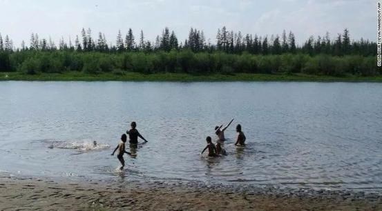 科学家 北极出现48度的高温，动物面临危险，一切难以回头