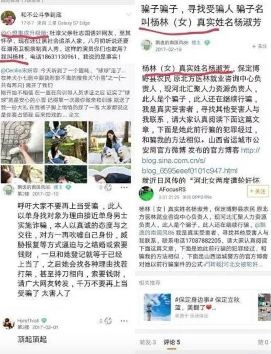 杜淳|杜淳杜志国父子俩，都渣！