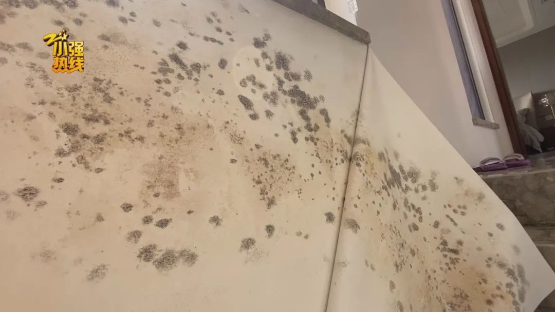 杭州|花近800万买的跃层，没想到不堪入目！