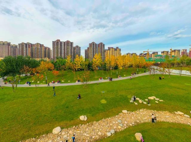 曲江新区 去哪放风筝？一篇解决问题！