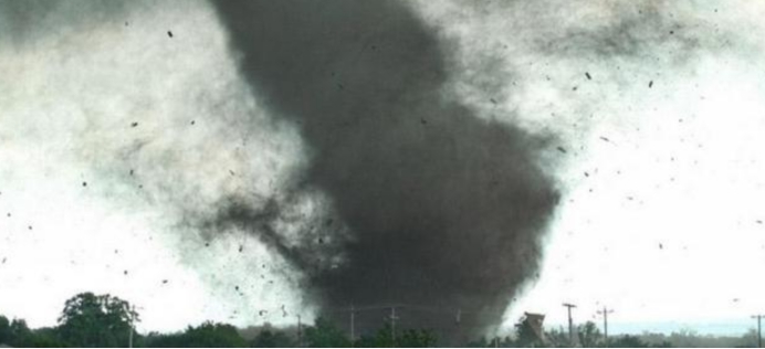 蚊子 哪来的这么多蚊子？俄罗斯出现“蚊子龙卷风”，几百万只太壮观了