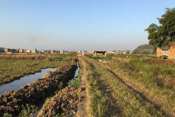 银环蛇 眼镜蛇为何如此可怕？在我国又能看到几种？和银环蛇相比谁更强