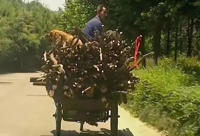 咸鱼真探 豆瓣9.6的宝藏节目，又沙雕又好笑，看到最后居然想哭