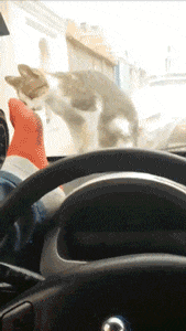 招聘|“高端人才,往往只需简单的简历,我觉得我也行!”