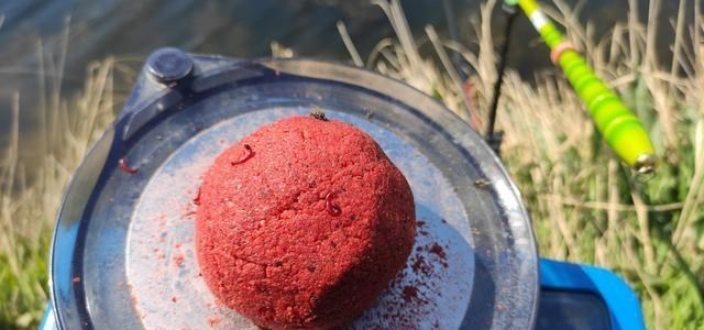 |冬季野钓，傻坐一天无鱼咬钩？给你四条建议，其实大板鲫很好钓