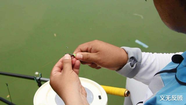 钓鱼|冬天钓鱼不要太生硬。学会判断铅垂线的底部，以免漏鱼