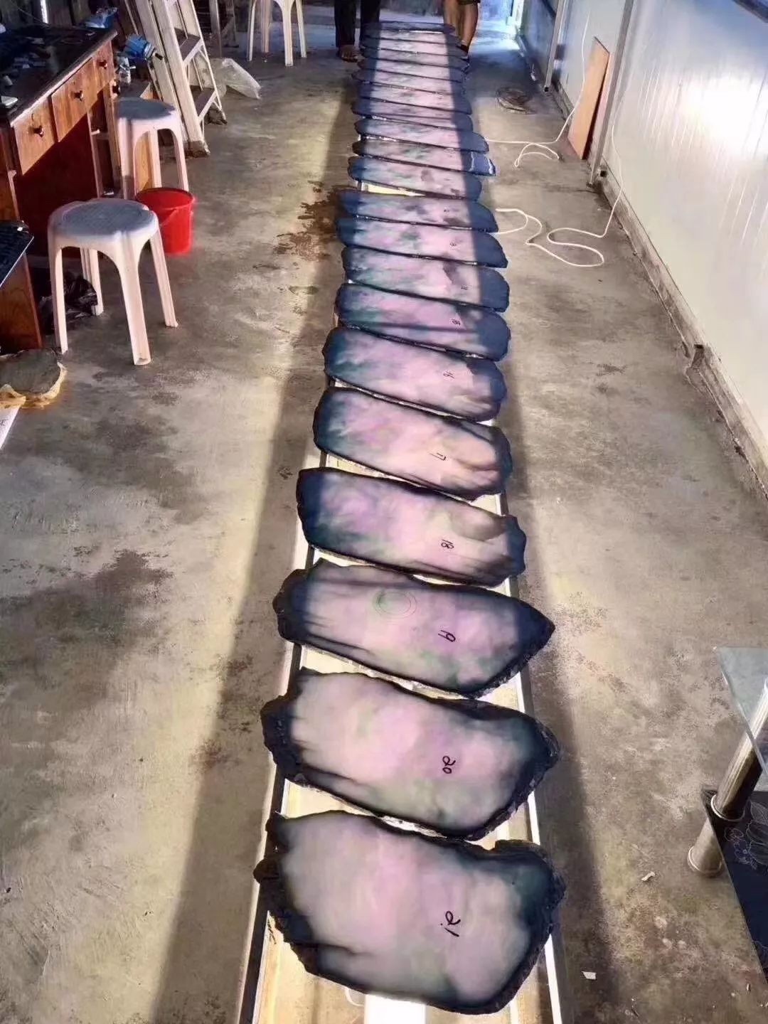 翡翠|117公斤大翡翠原石，切出28片春带彩片料，铺了一地，大涨！