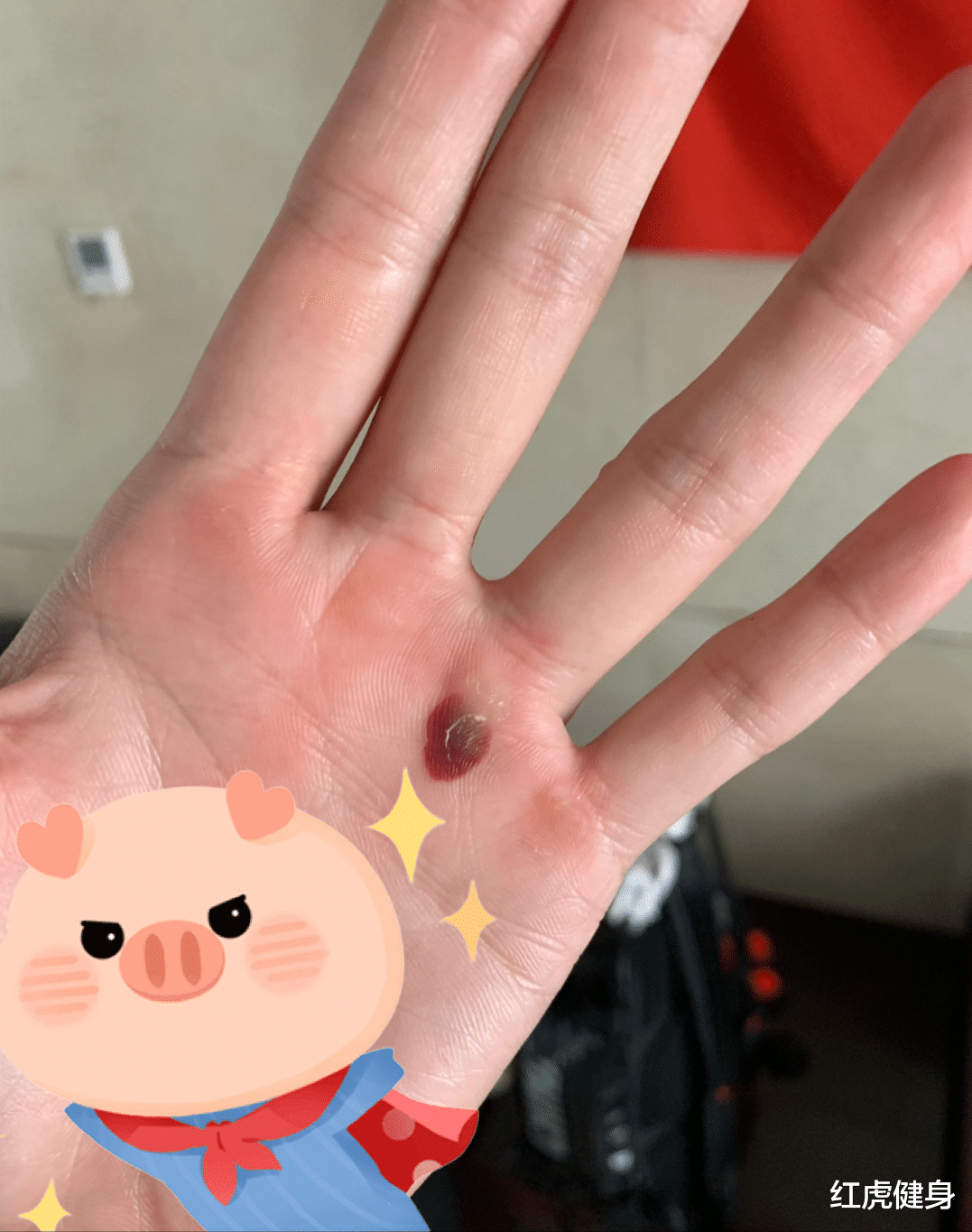 红虎健身|“撑竿跳女神”李玲，4次刷新亚洲纪录，东京奥运会力争好成绩