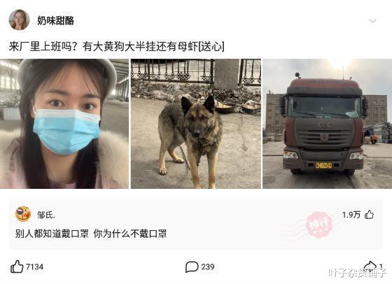 沙雕|神回复：我们家马上就买房了，大家帮我看看买哪套比较好？