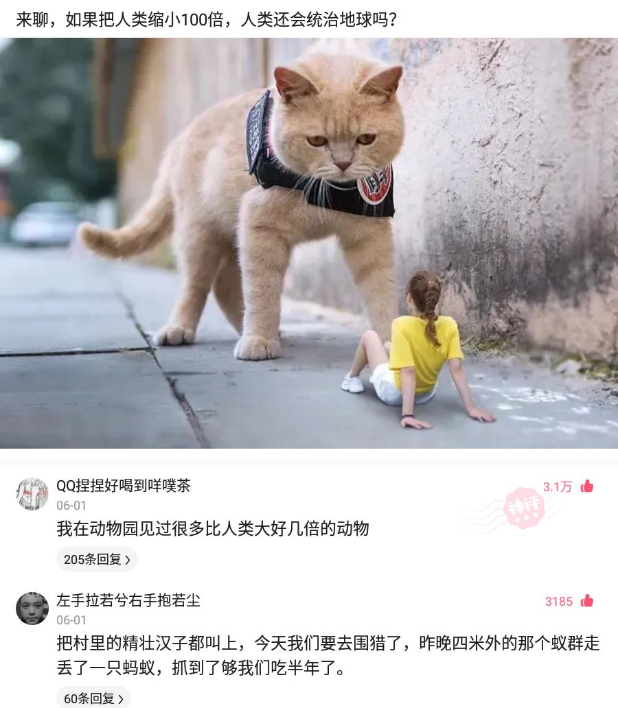 健身 神回复：汉服配丝袜，这样的穿搭你觉得怎么样？神评亮了
