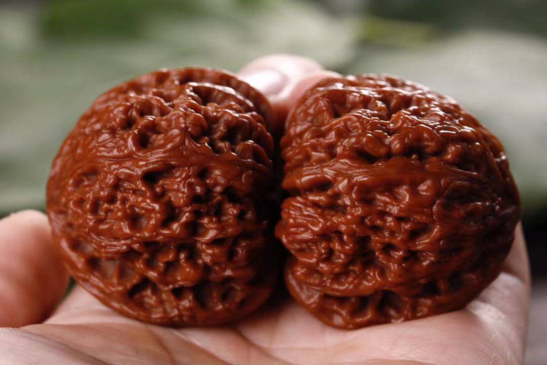 文玩核桃|文玩核桃机刷做旧如何鉴别 来看看吧