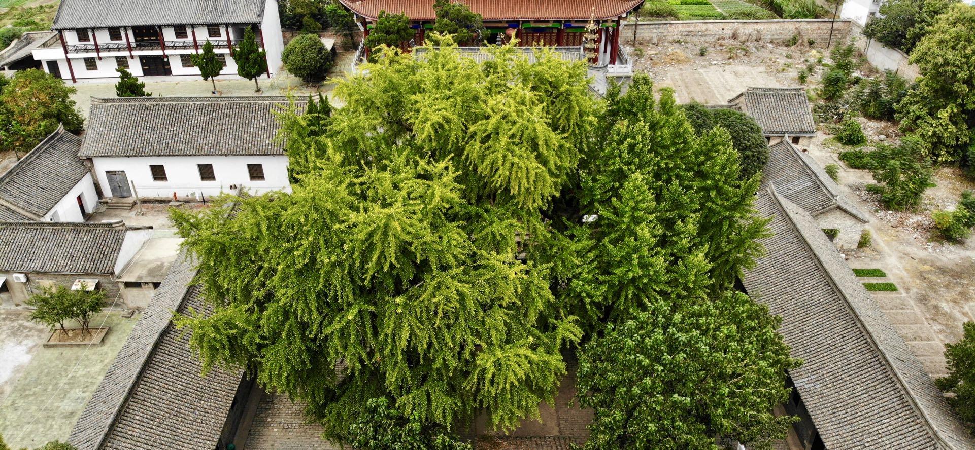 无锡 五一小长假，安徽这2个被低估旅游城市，高铁直达且人少景美