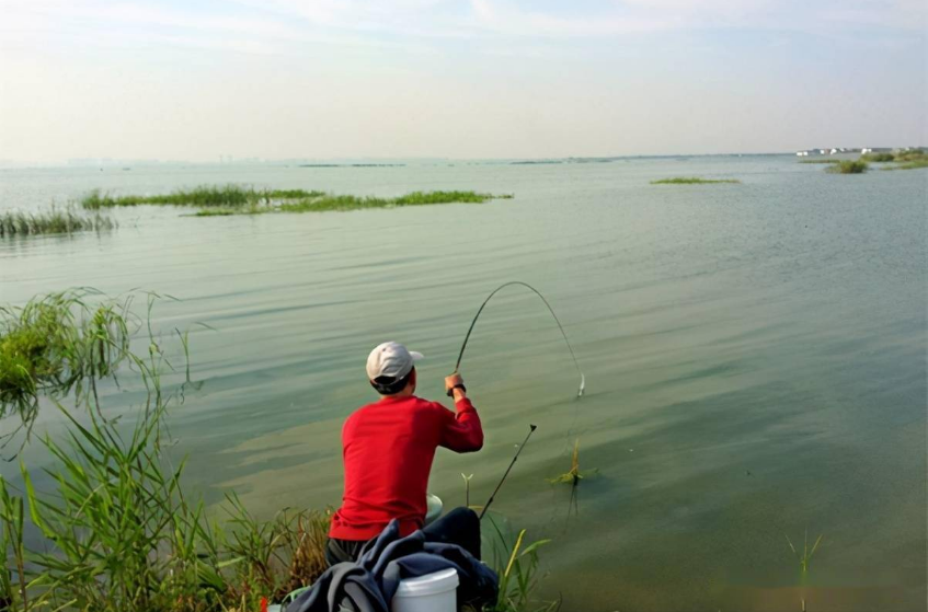 |三月到，鲫鱼不好钓？不妨试试这三点诀窍，上鱼率那叫一个高