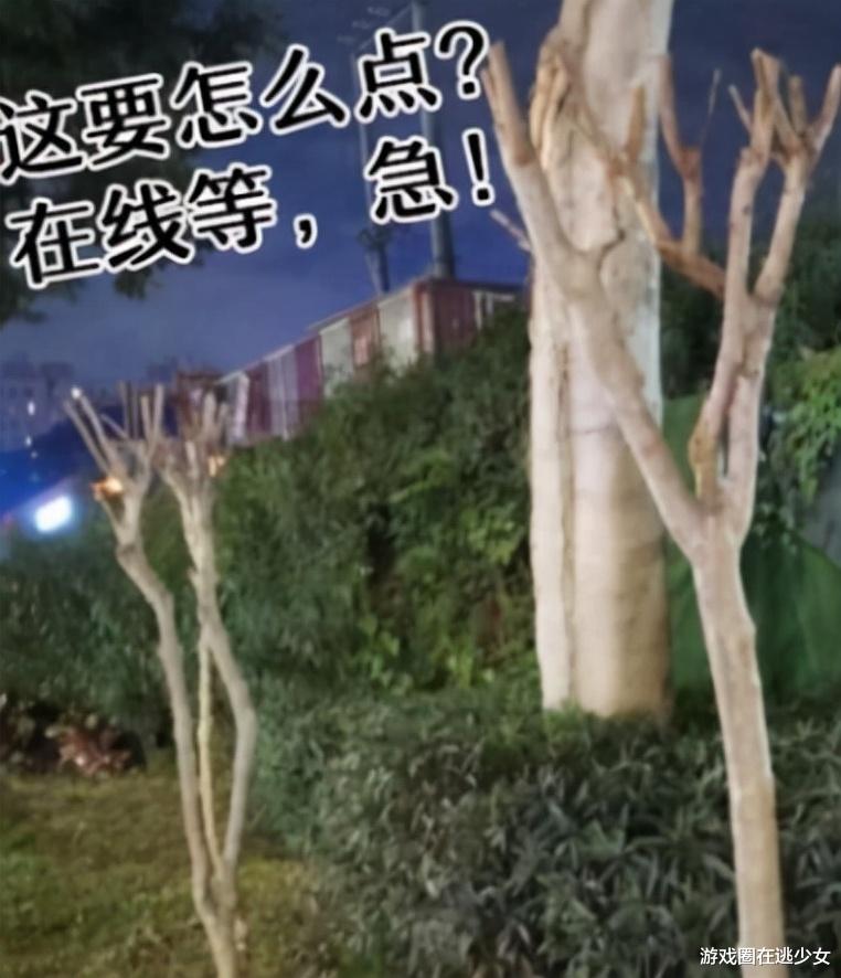 原神|《原神》玩家“犯病”集锦,别去打那群鸽子啦!人均线下后遗症?