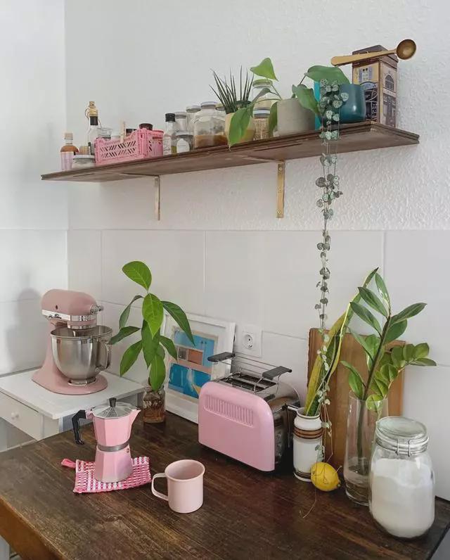 丹麦女白领87㎡一房一厅，满是绿植的精致生活，厨房太可爱了！