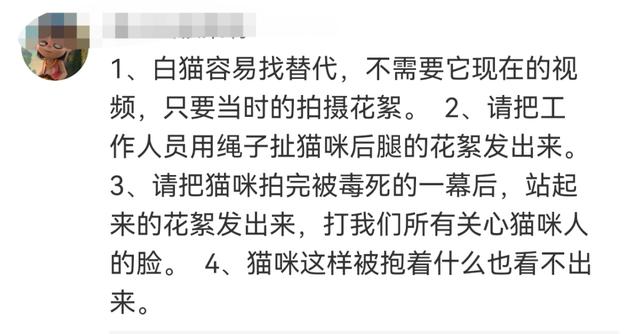 小猫是被电死的?剧组紧急回应:我们报案了