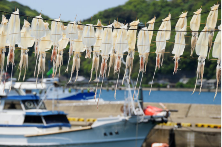 |去不了总能看看吧！日本钓鱼人十个最理想的都道府县