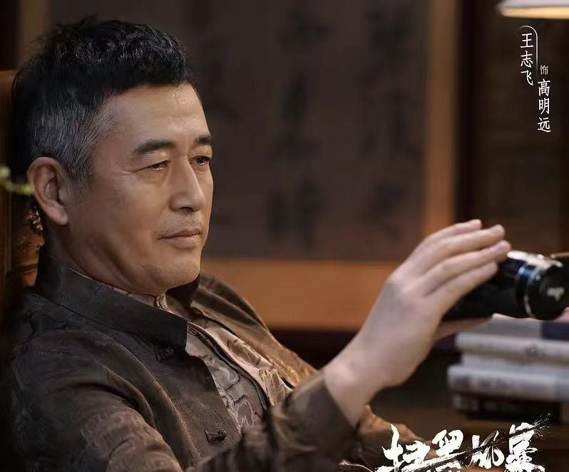 MARRY|《扫黑风暴》贺芸是高明远的保护伞，专案组不了解她的家庭信息吗