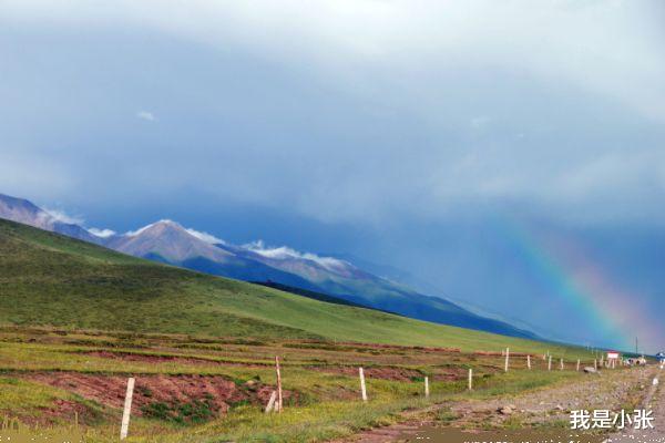 处女座|有野心，知人善用的3大生肖，有很强的洞察力，善于运筹帷幄