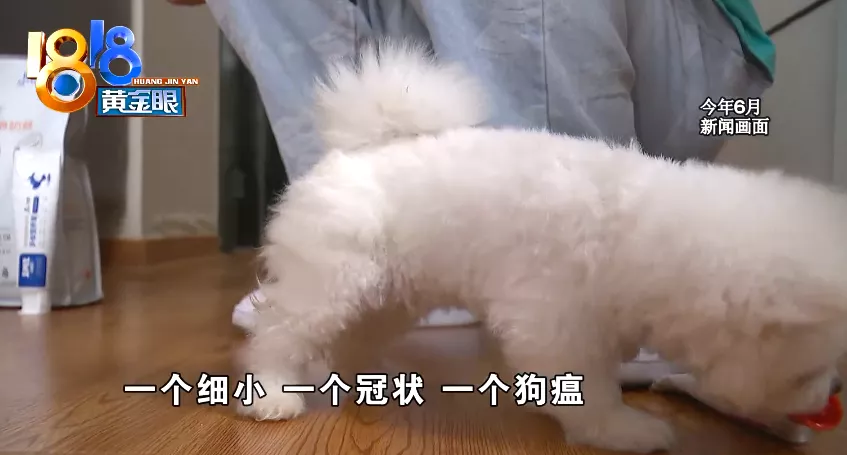 杭州 消费者怀疑买到“星期猫”，找上门发现是“老朋友”了