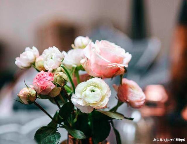 老伴儿风停夜泊聊情感|男女交往:有这3点特征的女人,不值得娶